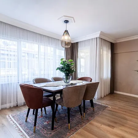 Modern Flat Close To Istiklal Street With Balcony Istanbul